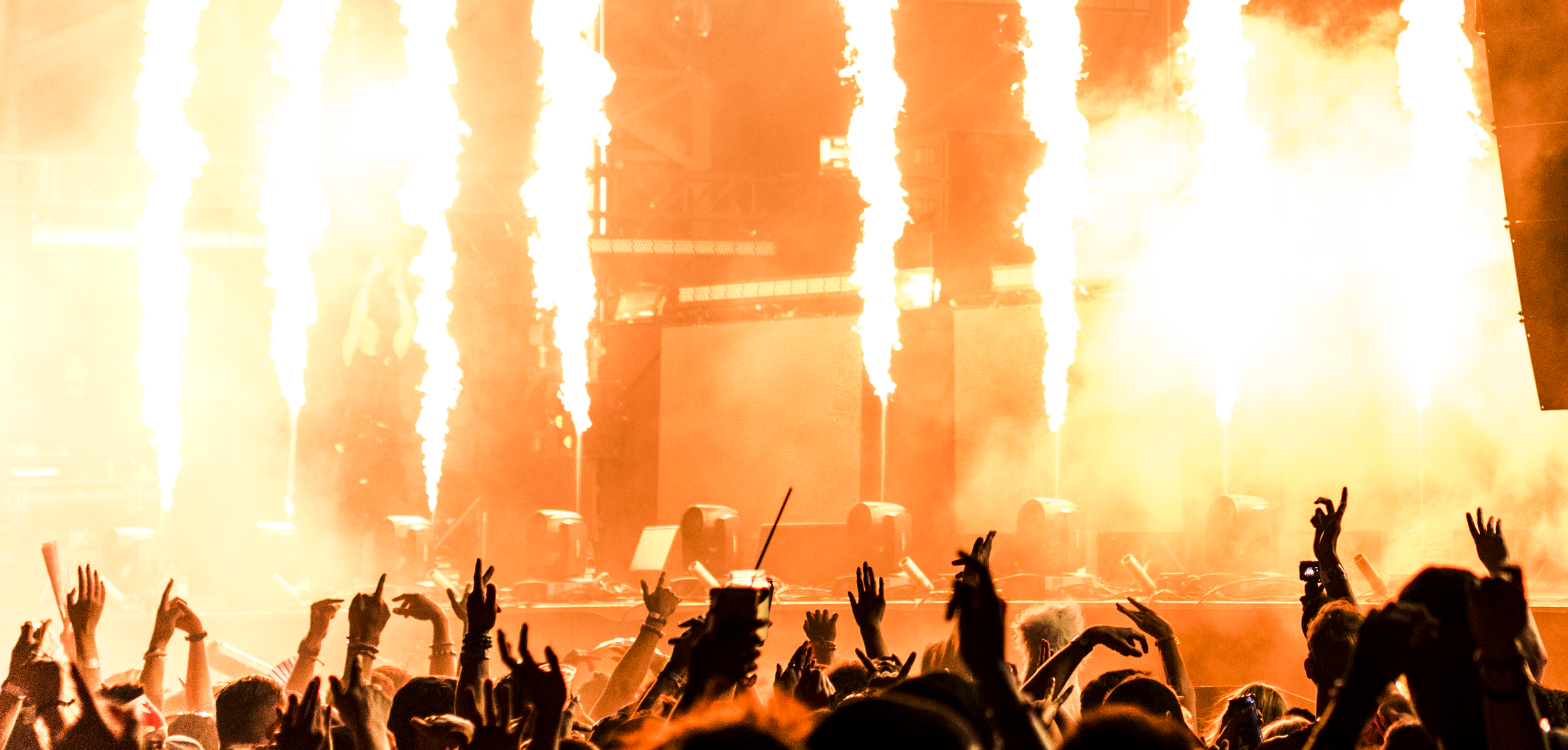 The Start of a Beautiful Journey 