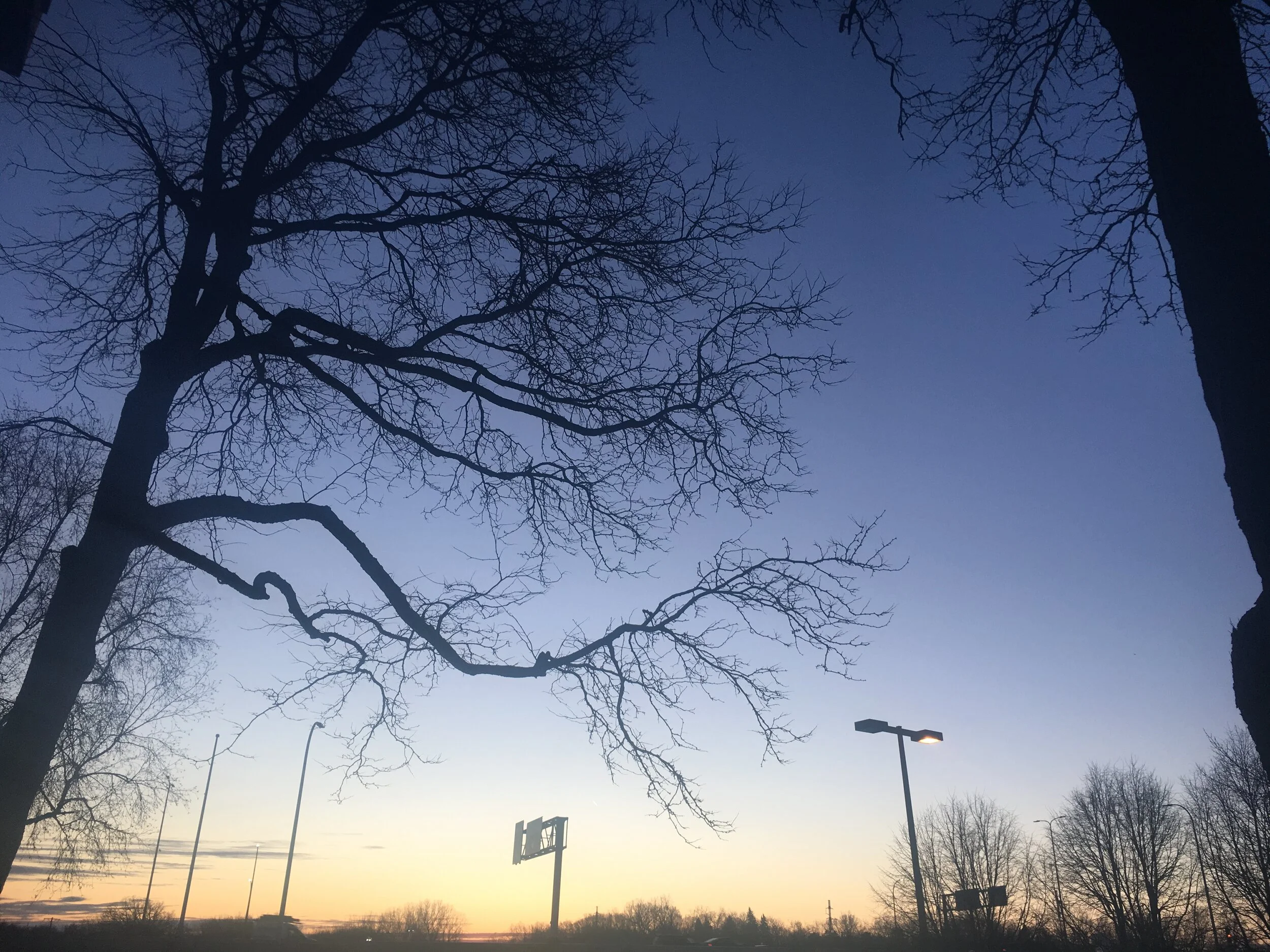 Connecting with the earth