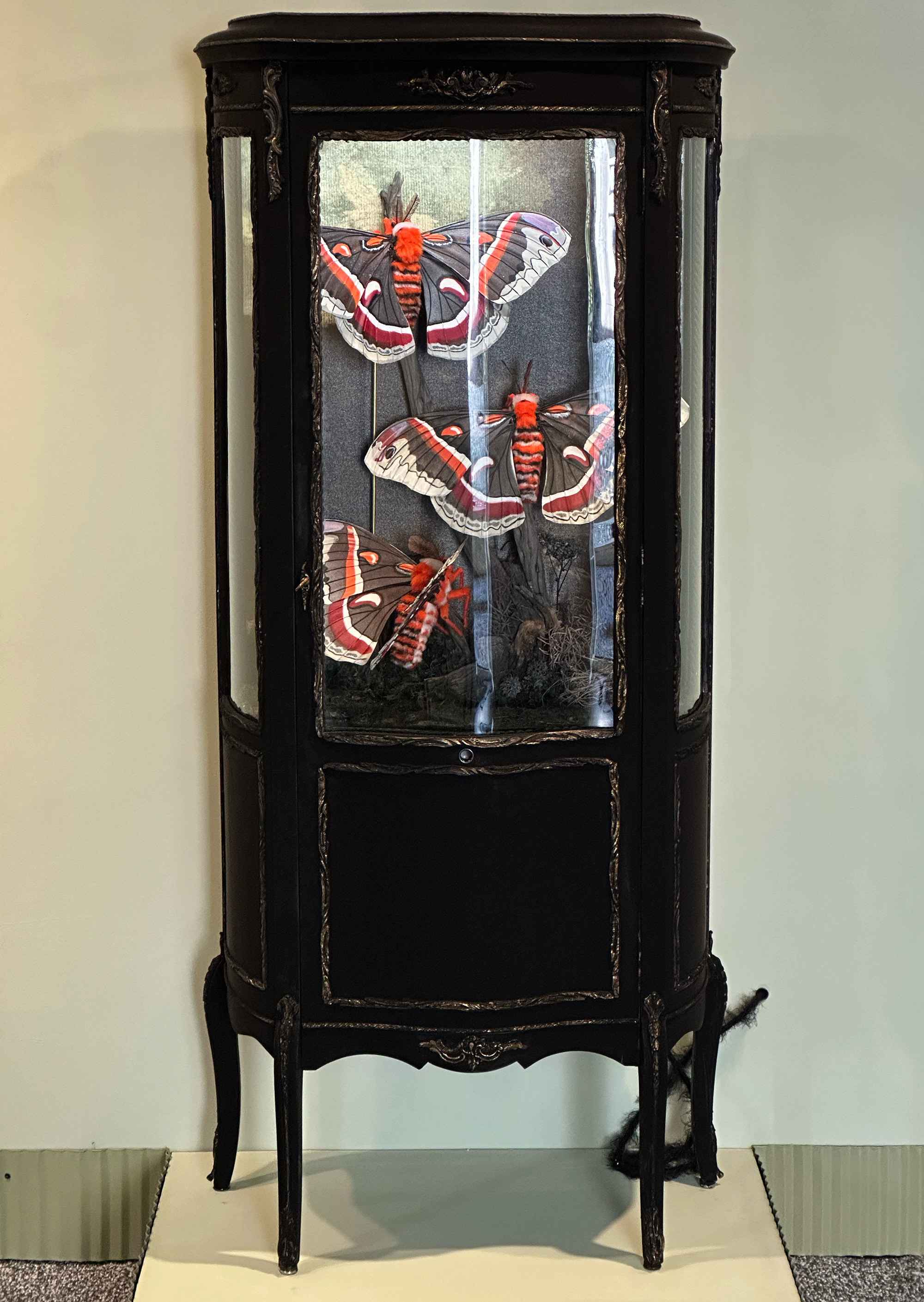 Animatronic Cecropia Moths