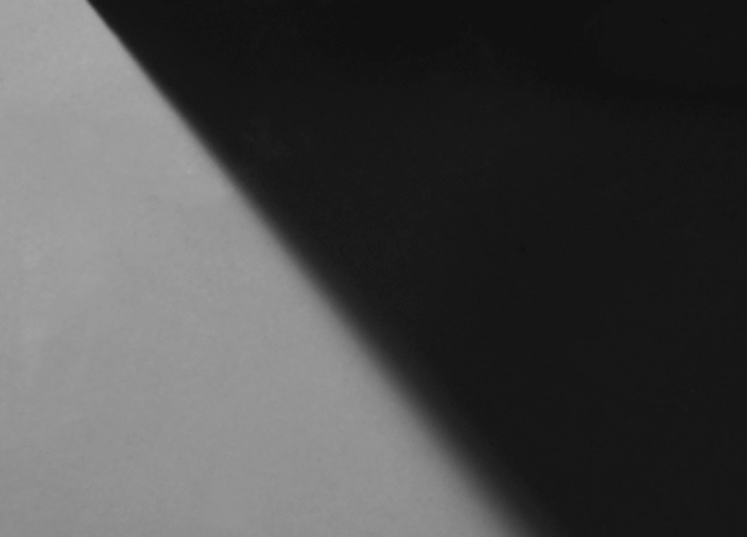 3317_FUR_Furtado Sullivan_Website_3.jpg