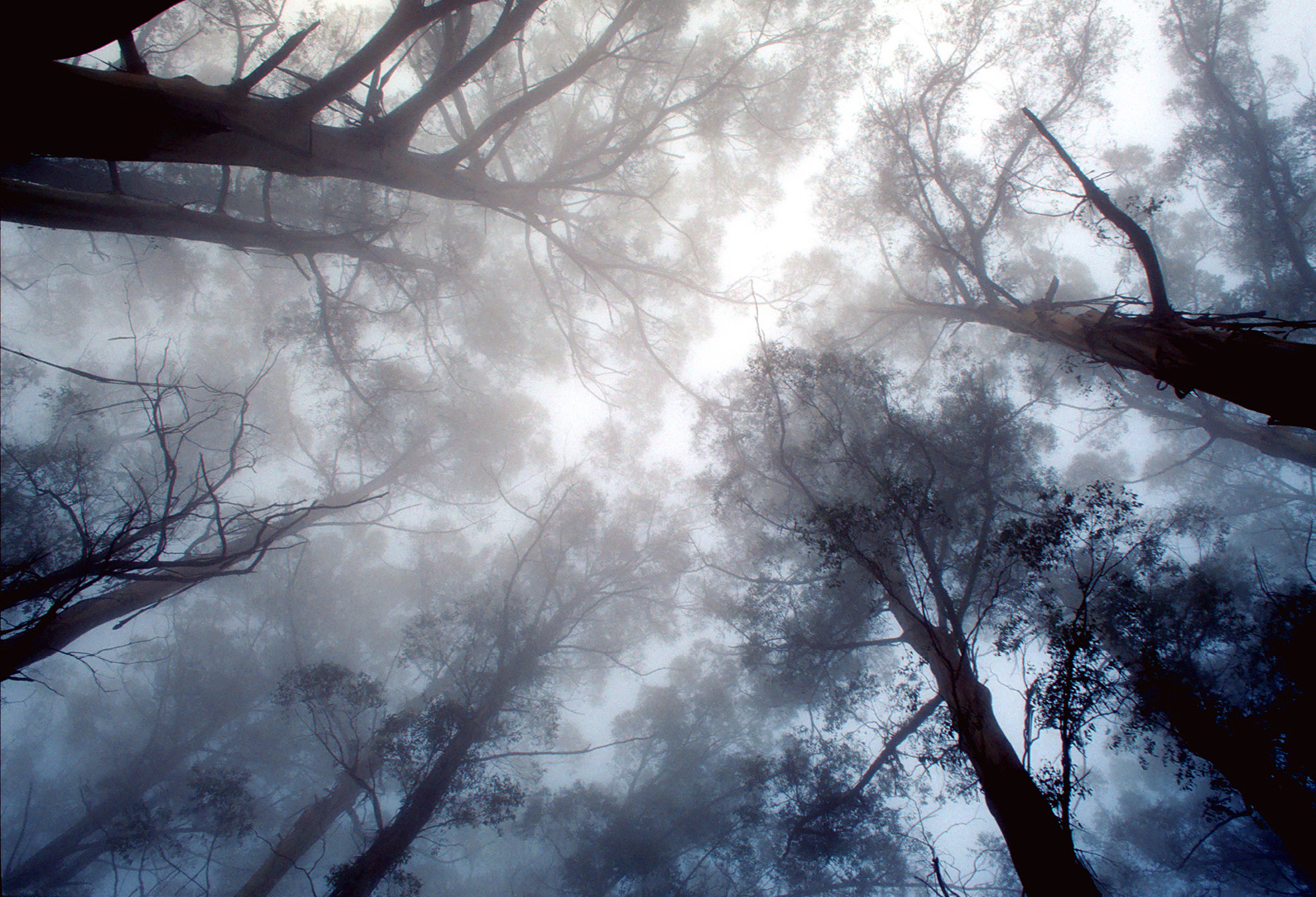 3317_FUR_Furtado Sullivan_Website_10.jpg