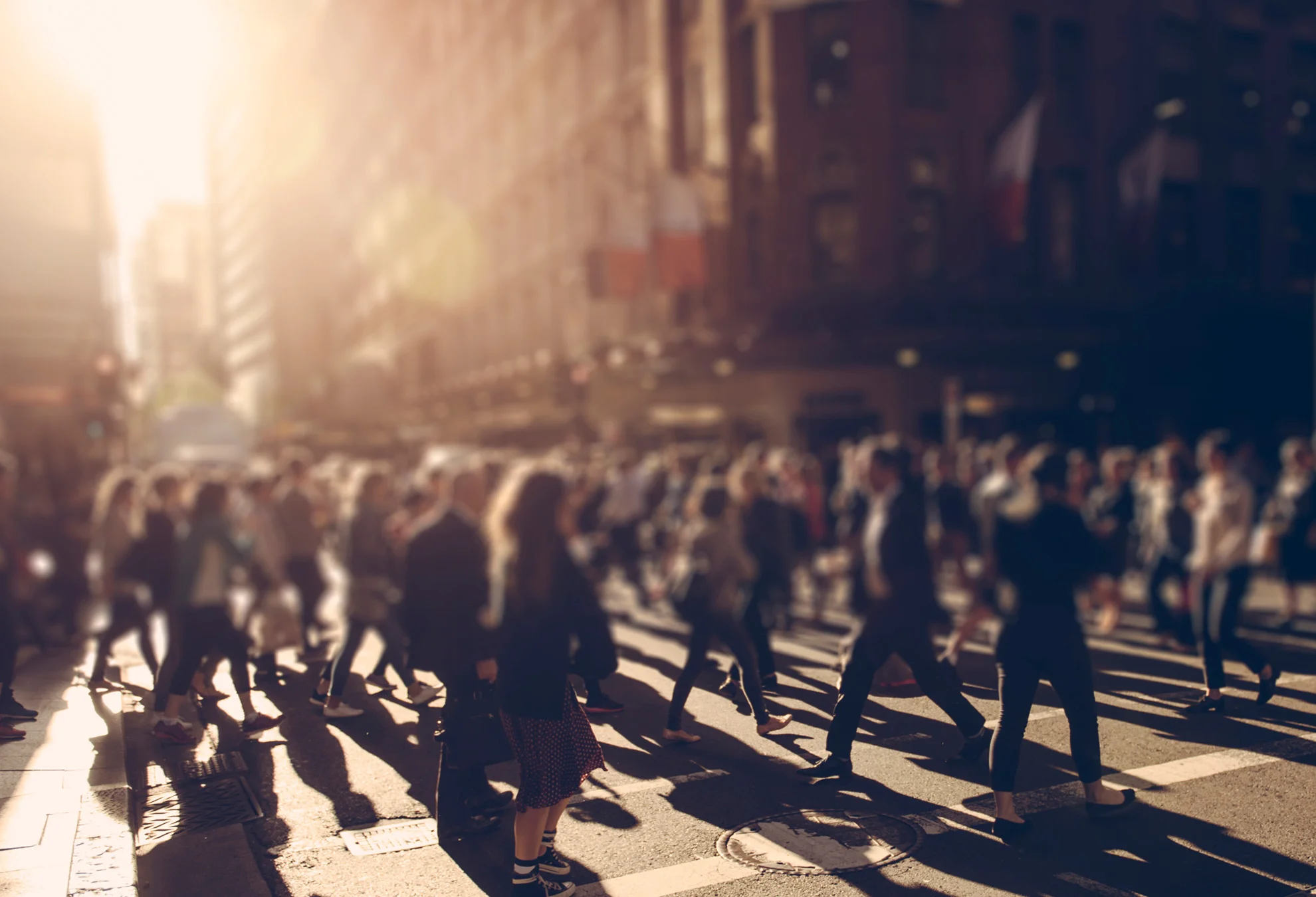 3317_FUR_Furtado Sullivan_Website_12_2.jpg