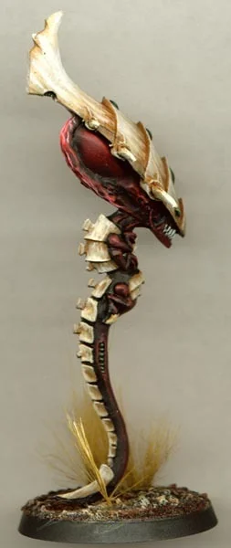 zoanthropeside.jpg