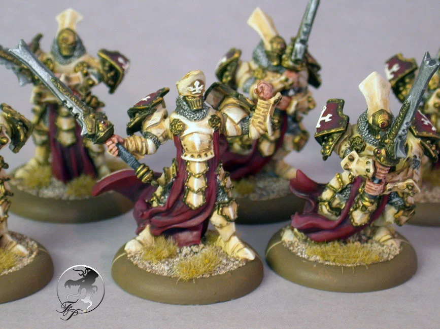 menoth-knights-exemplar.jpg