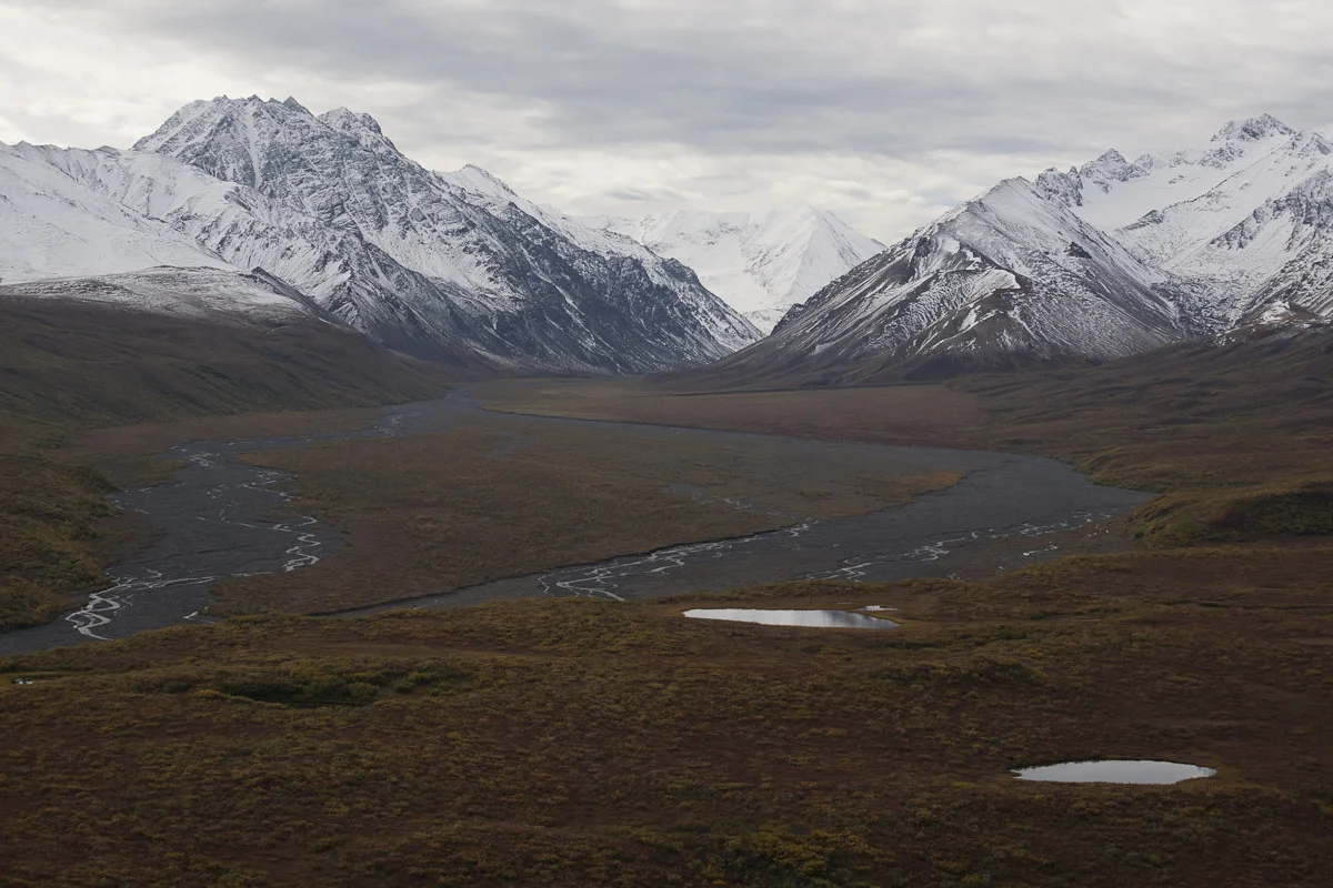 _mg_1018.jpg