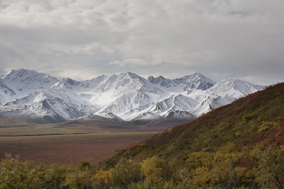 _mg_1021.jpg
