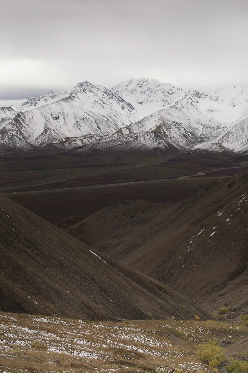 _mg_1039.jpg