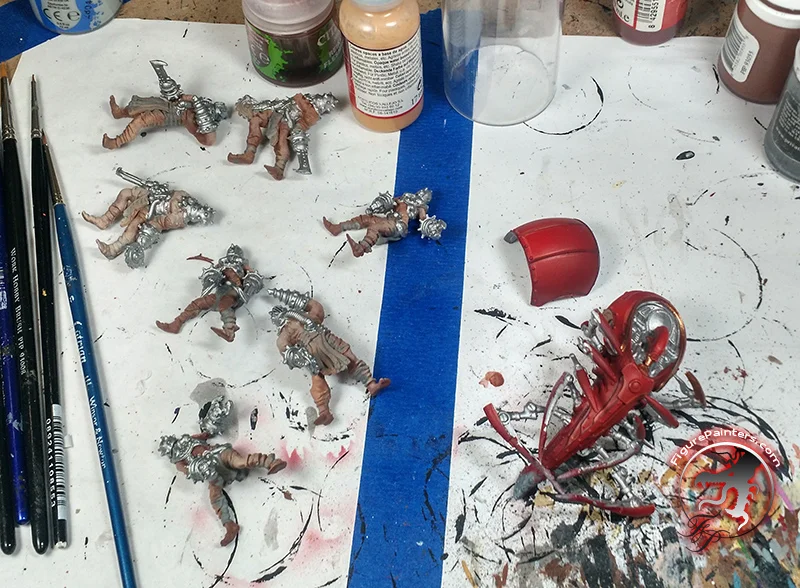 cephalyx-table-31.jpg