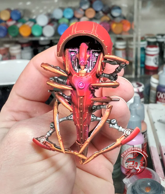 cephalyx-table-69.jpg