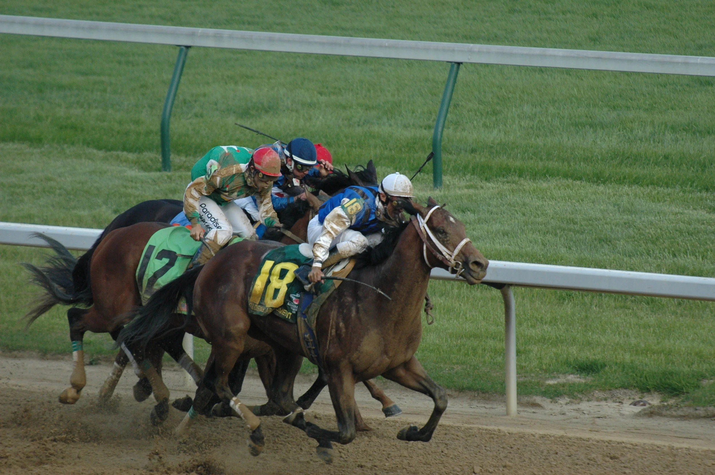 DSC_0137.jpg