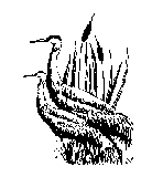 WNHA Yearly Membership