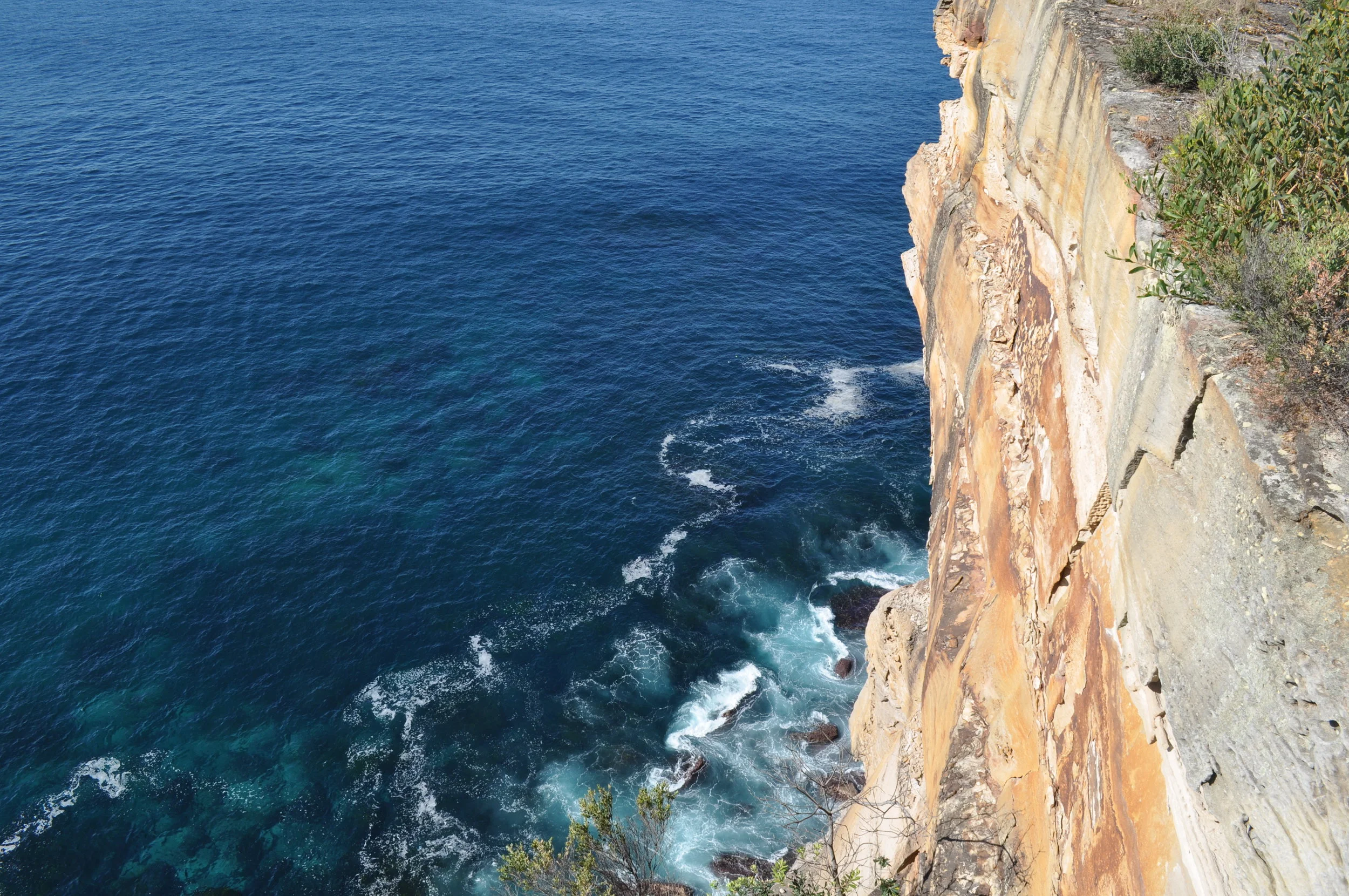 DSC_0176.JPG