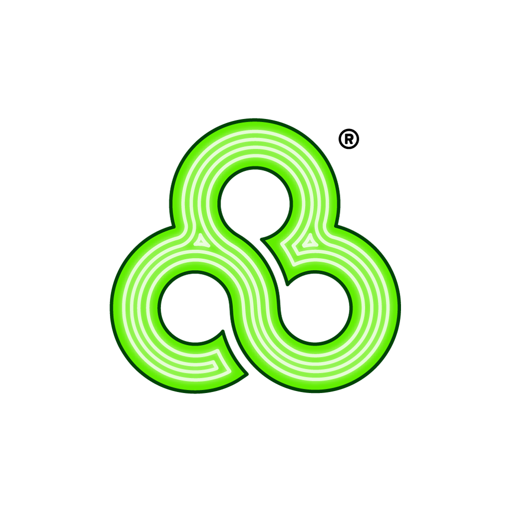 Bonnaroo_Logo.png
