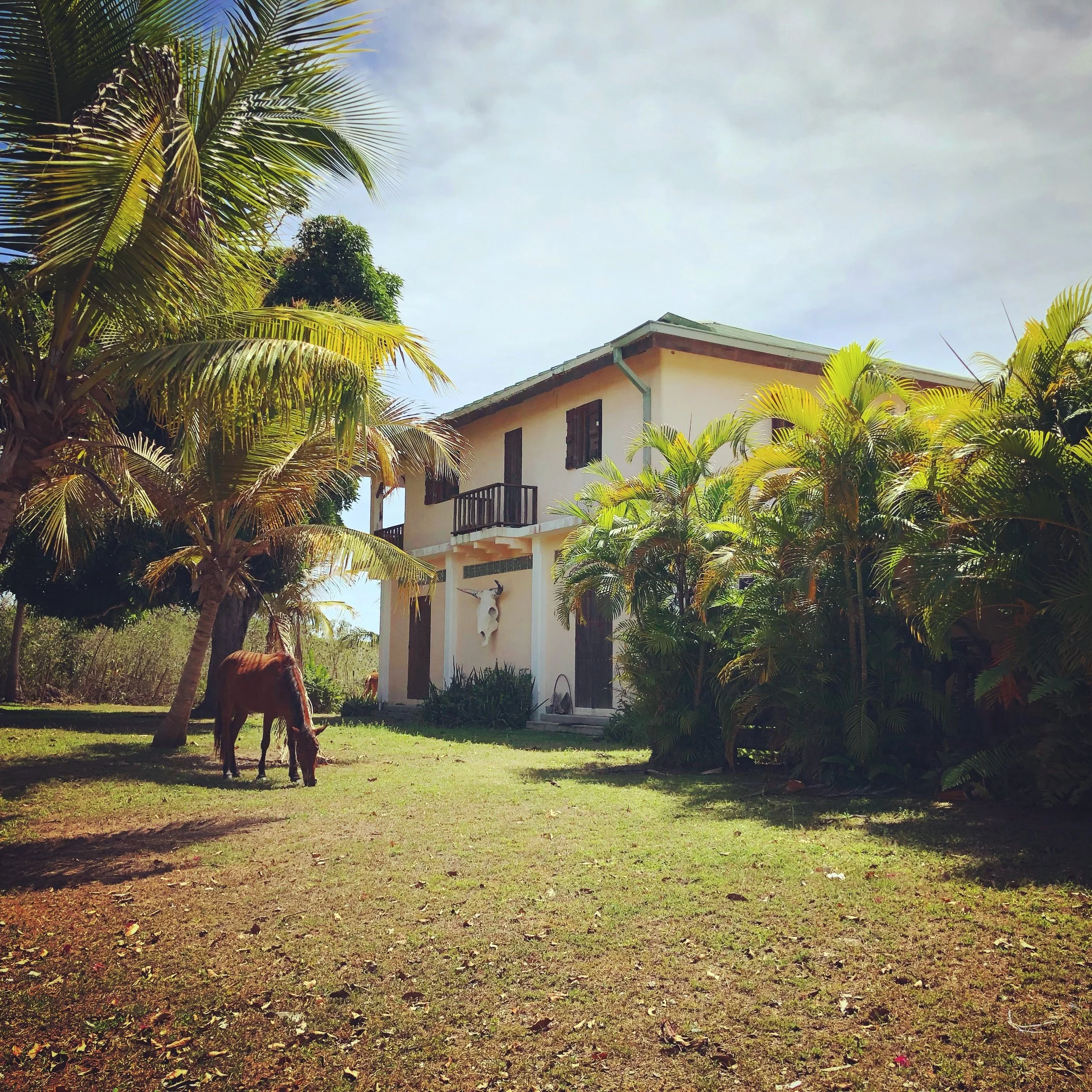 Oro Marketing - 16 of 316.jpeg