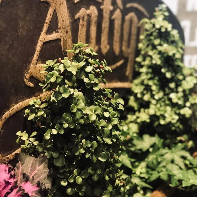 Today&rsquo;s the day...are you coming? Pop Up event @ The Oaks Mall ..10-9 
#popupshop