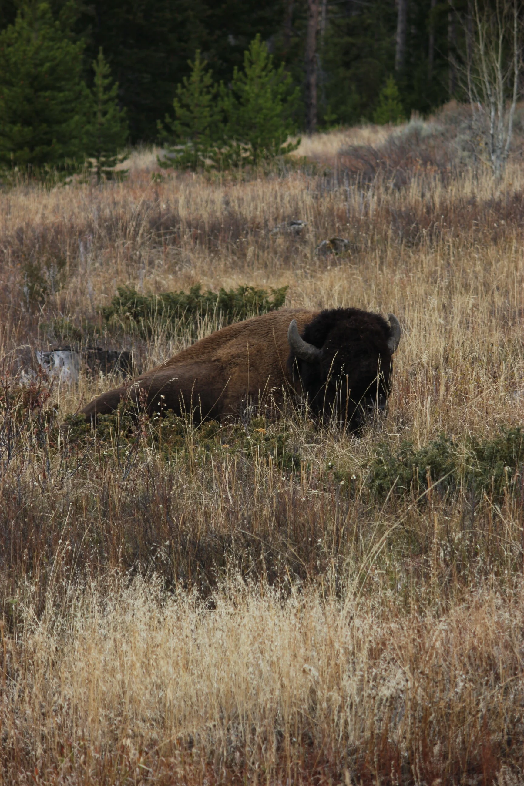 IMG_6926.JPG