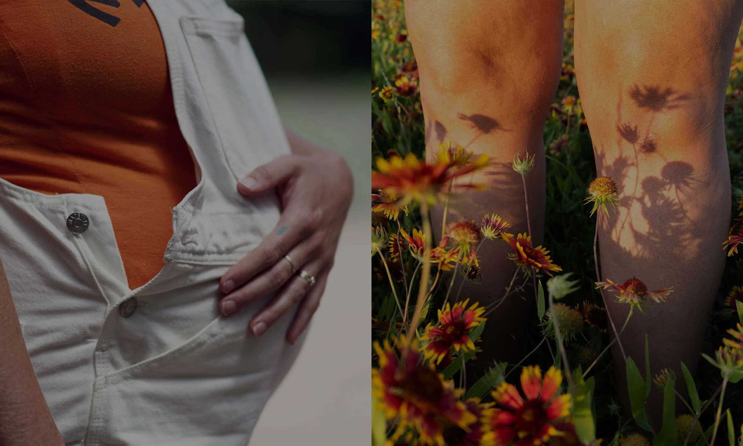 Gestures-of-Careicosa.jpg