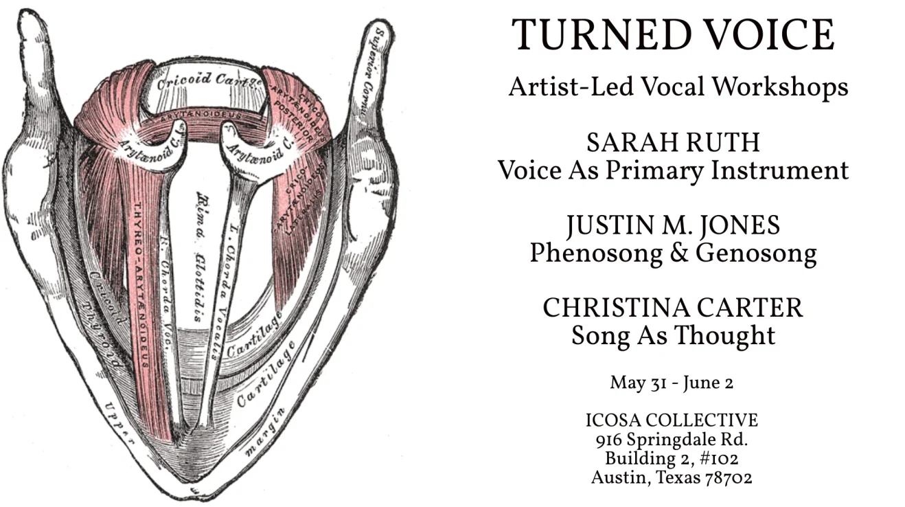 turned-voice-flyer-front-1.jpeg