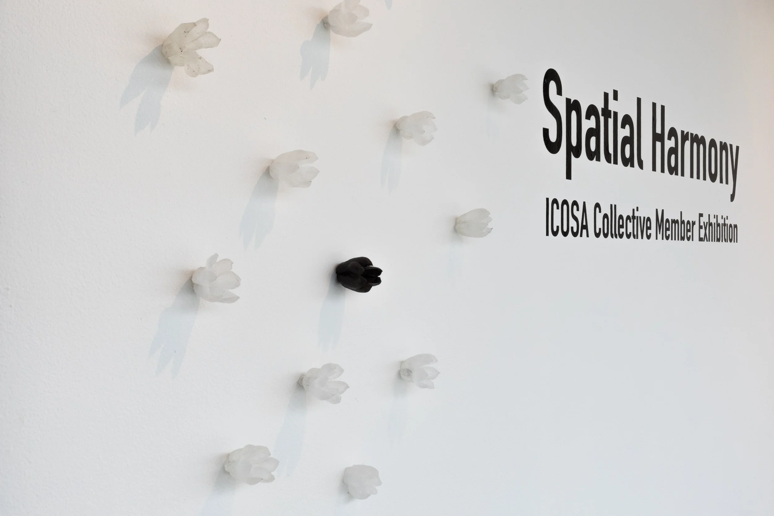 ICOSA_install_SpatialHarmony_100.jpg