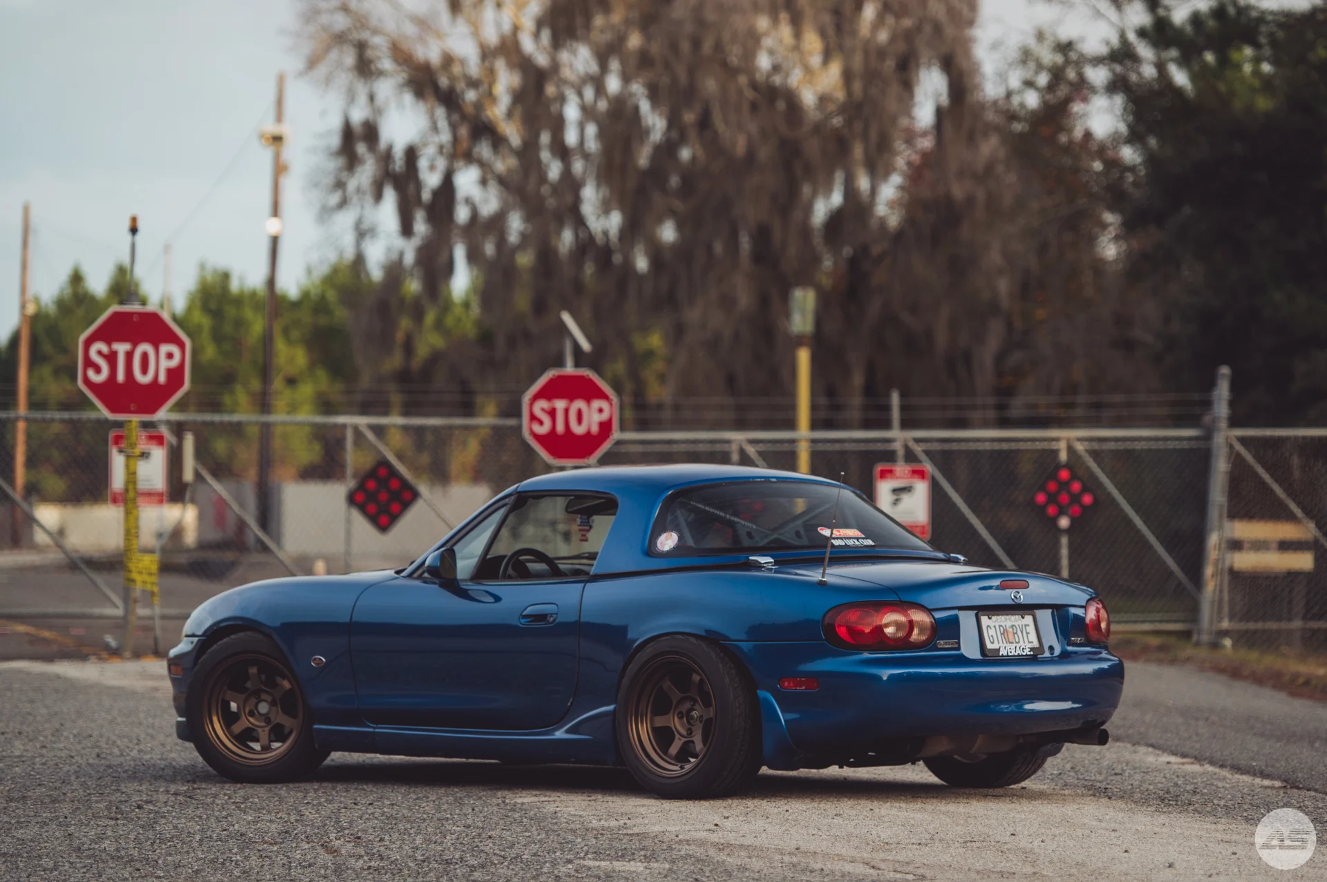 DSC_0732.jpg