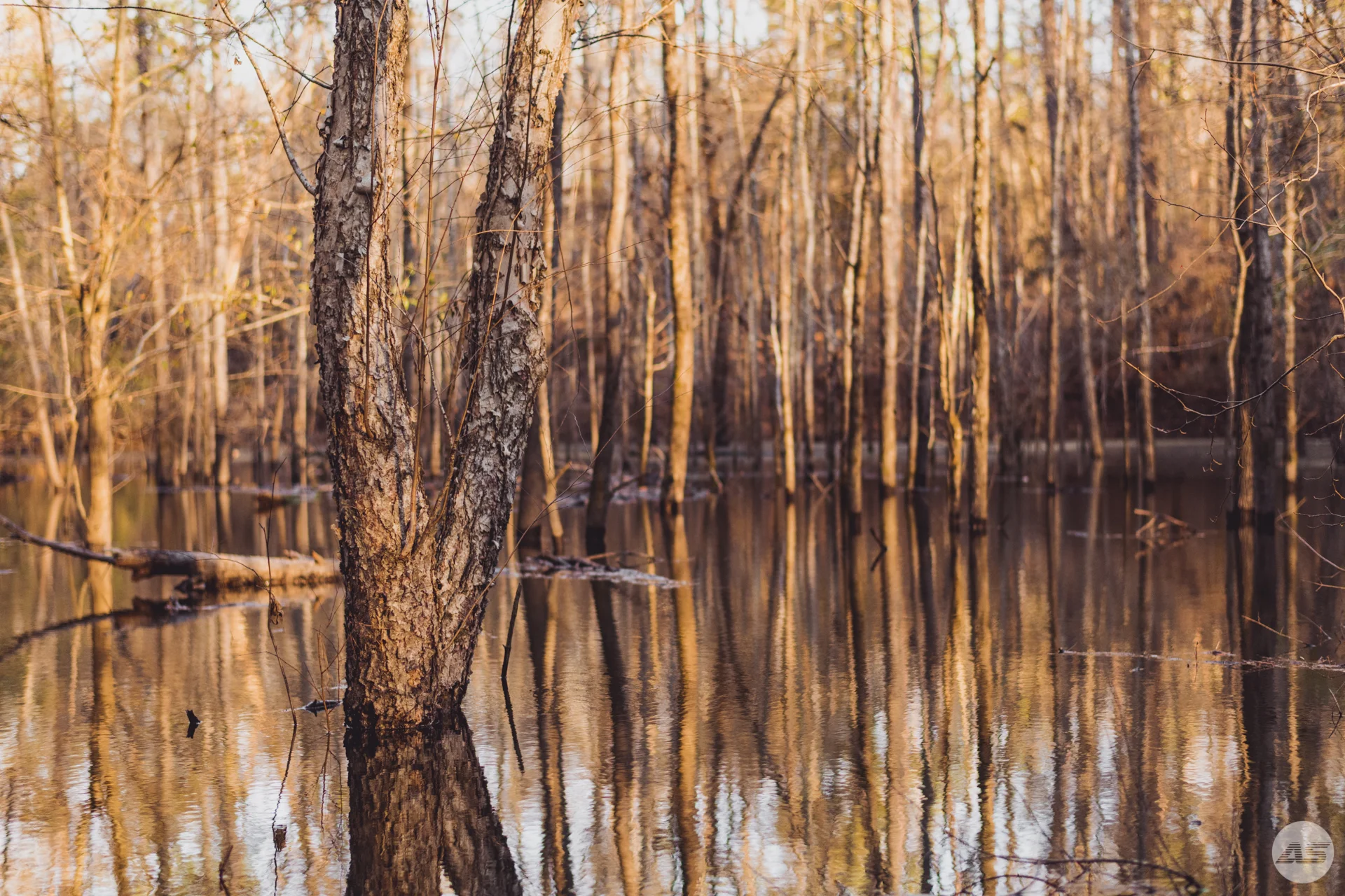 DSC_2058.jpg