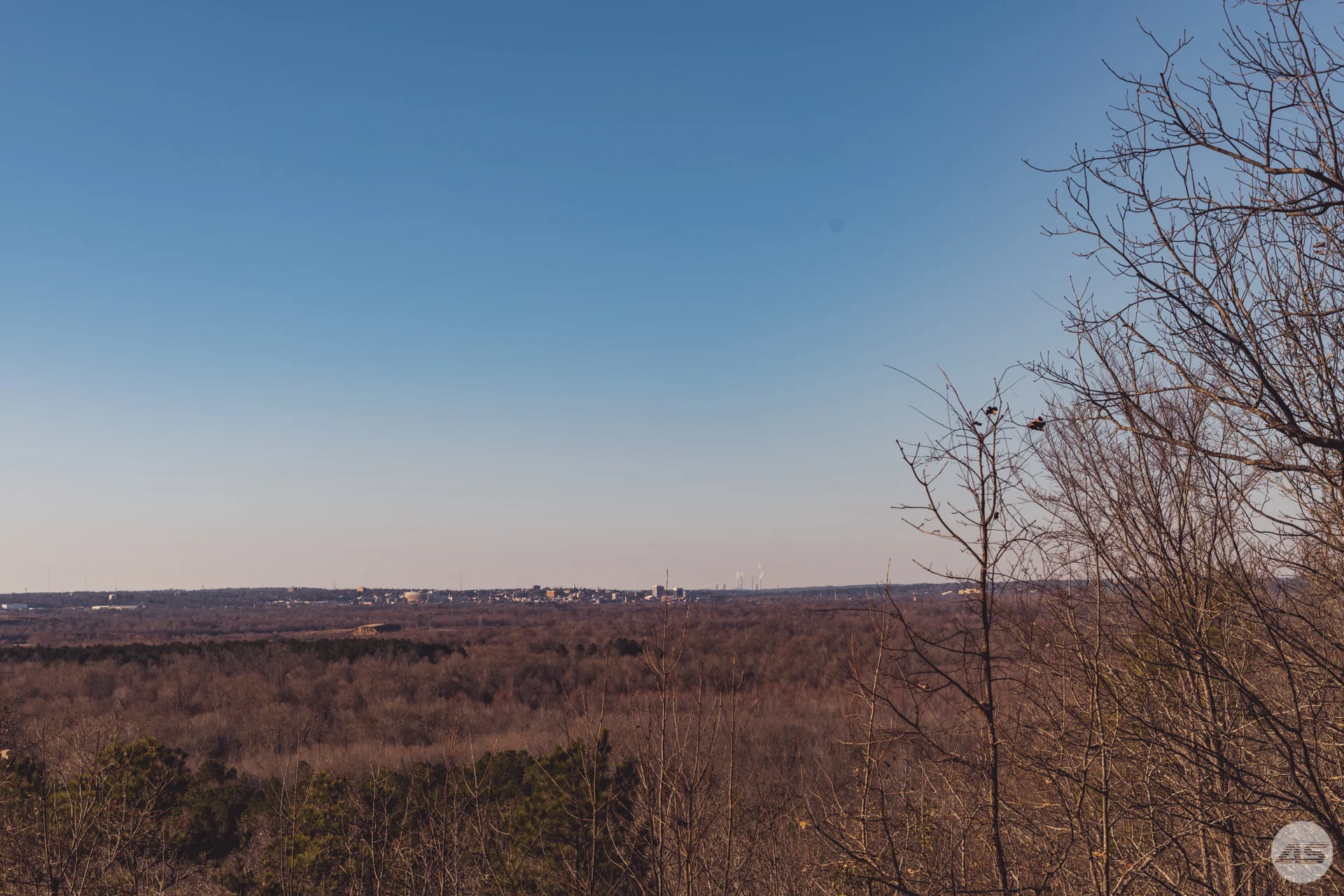 DSC_2040.jpg