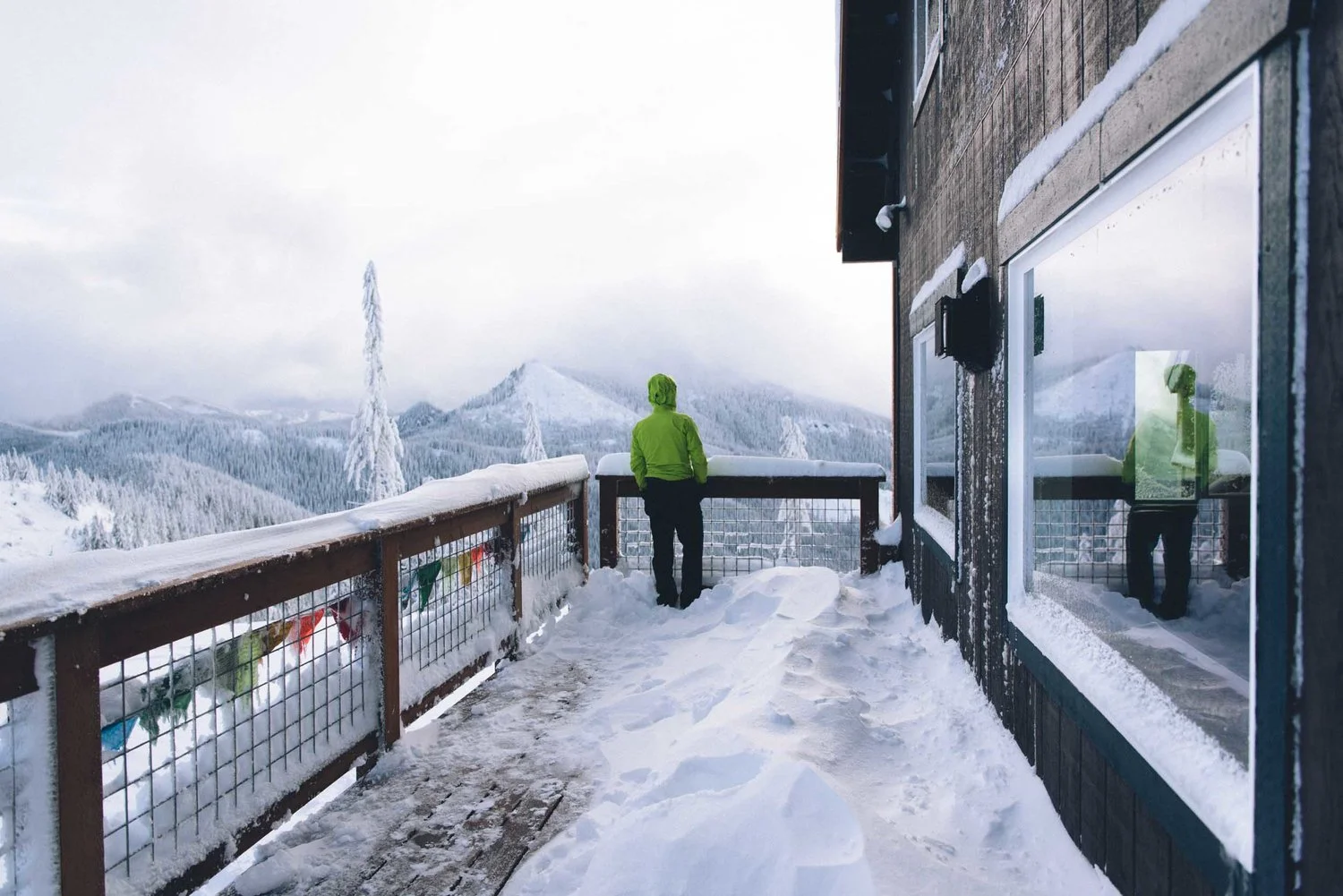 Mount Tahoma Trails: An Idyllic Winter Retreat