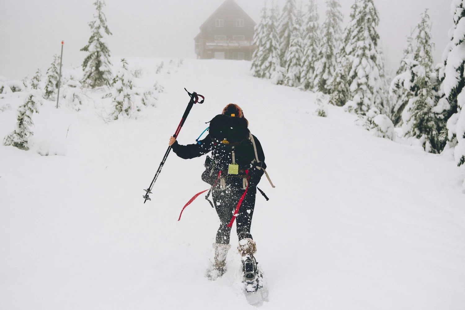 Mount Tahoma Trails: An Idyllic Winter Retreat
