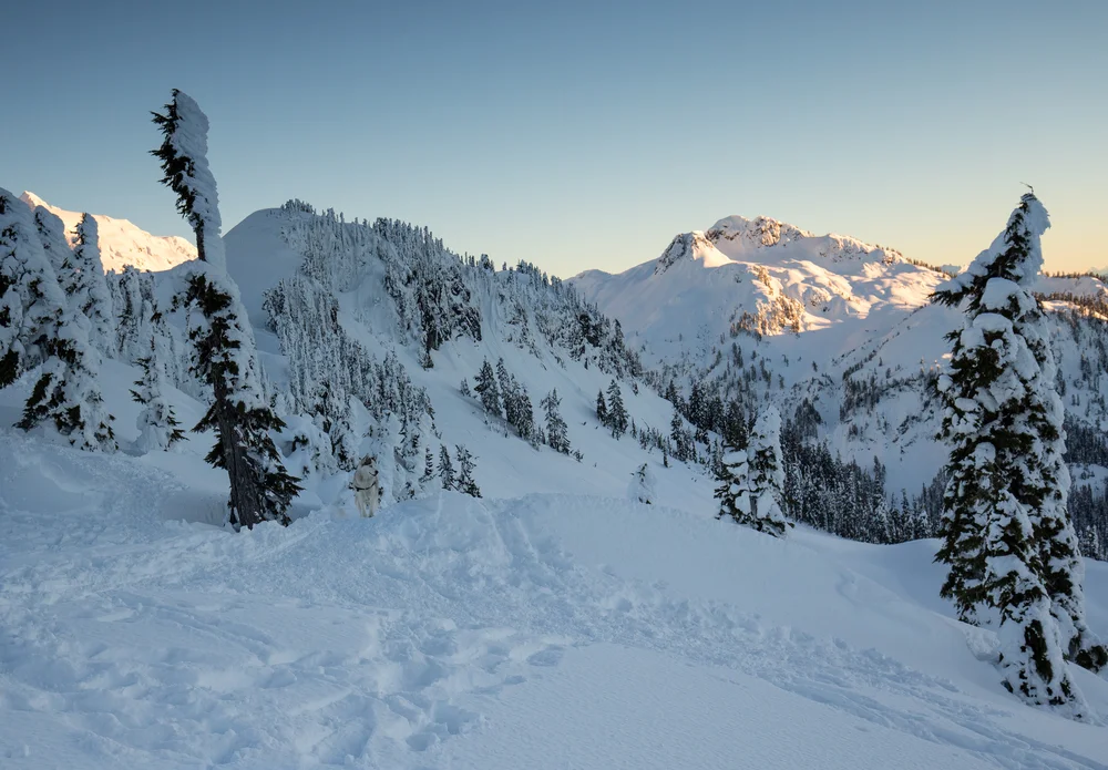 Things To Know Before Winter Camping