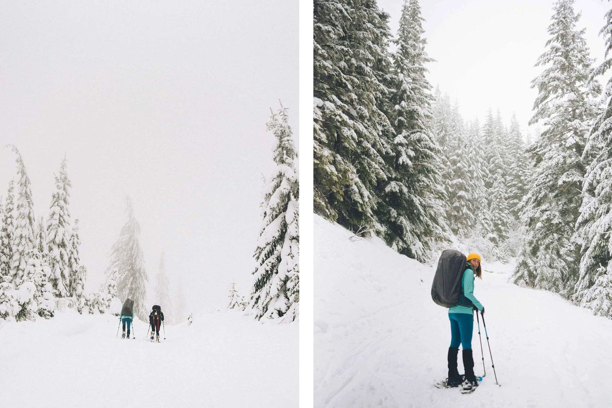 Mount Tahoma Trails: An Idyllic Winter Retreat