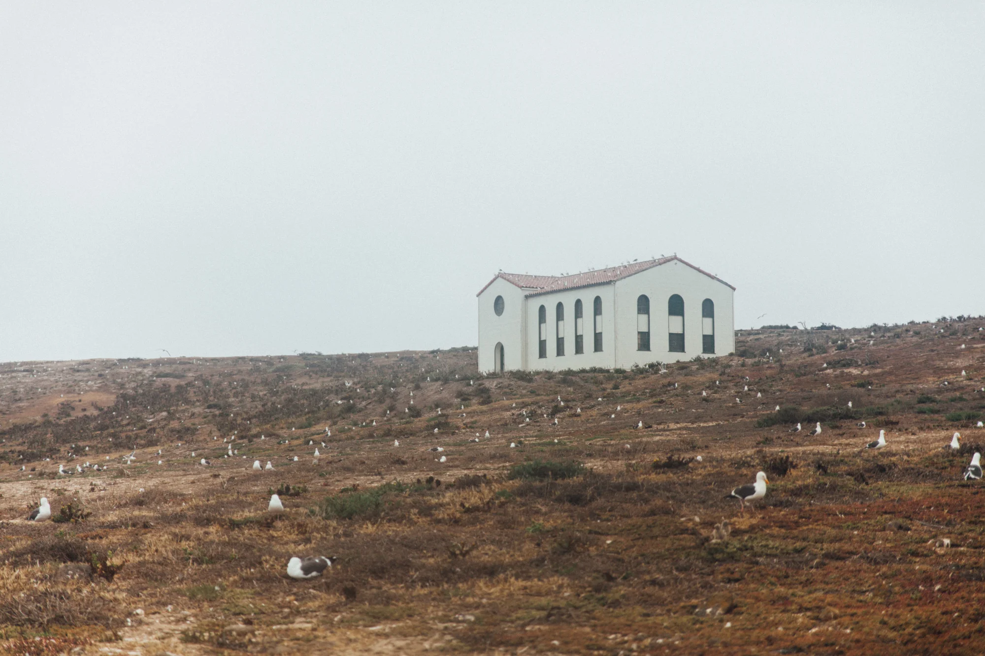 An Unforgettable Trip To Channel Islands National Park