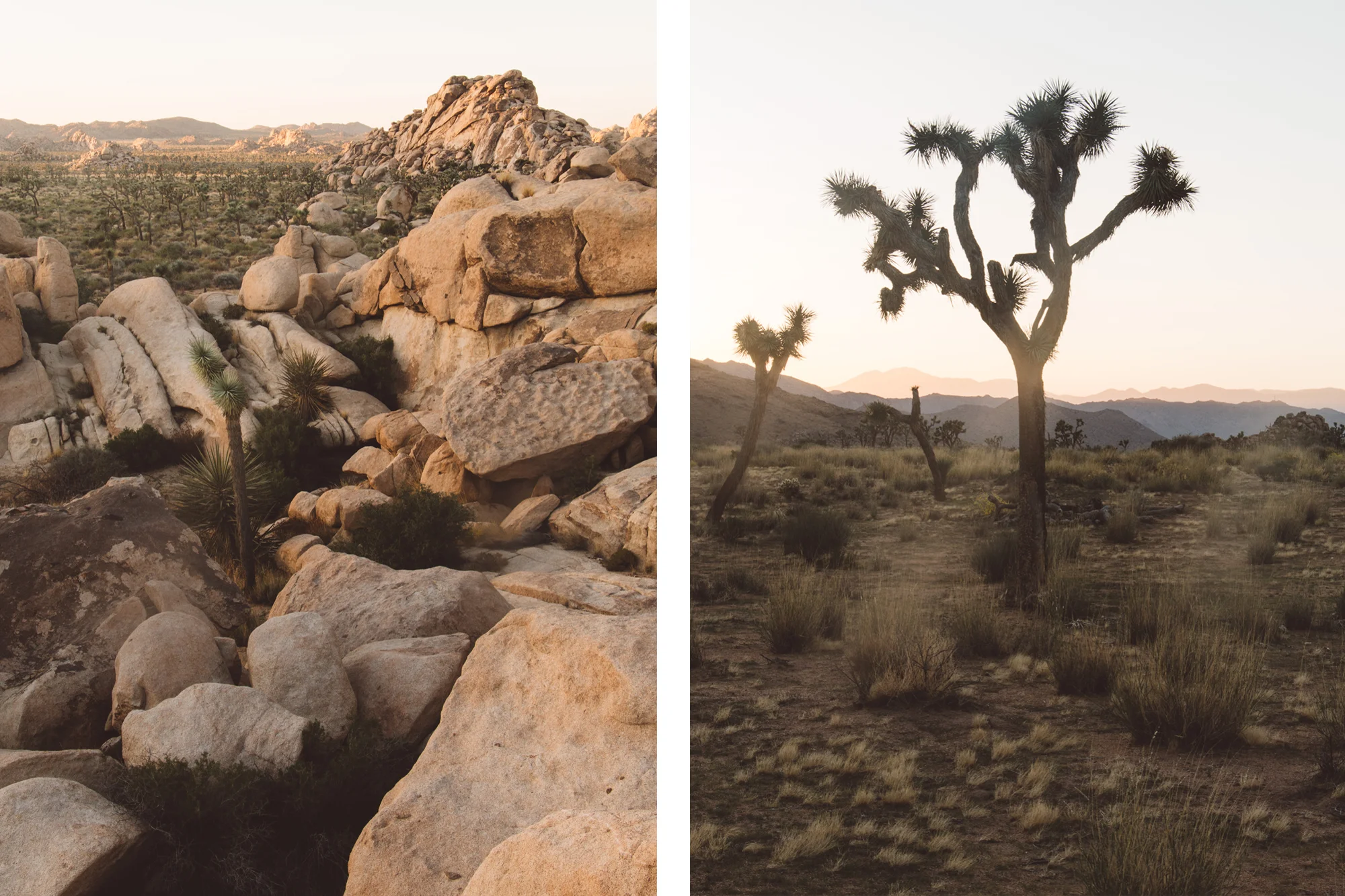 #WhereTo With Uber: 24 Hours In Palm Springs, CA