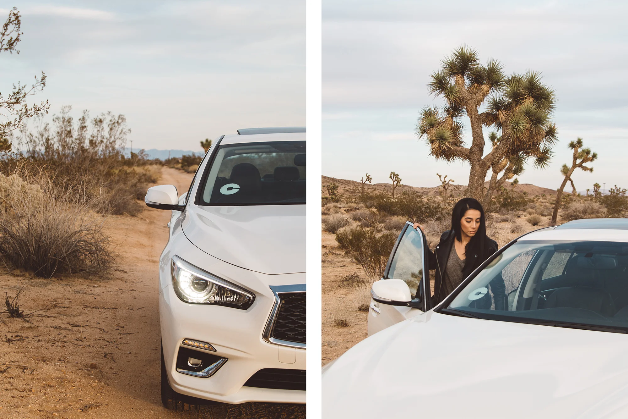 #WhereTo With Uber: Guide To Joshua Tree, CA