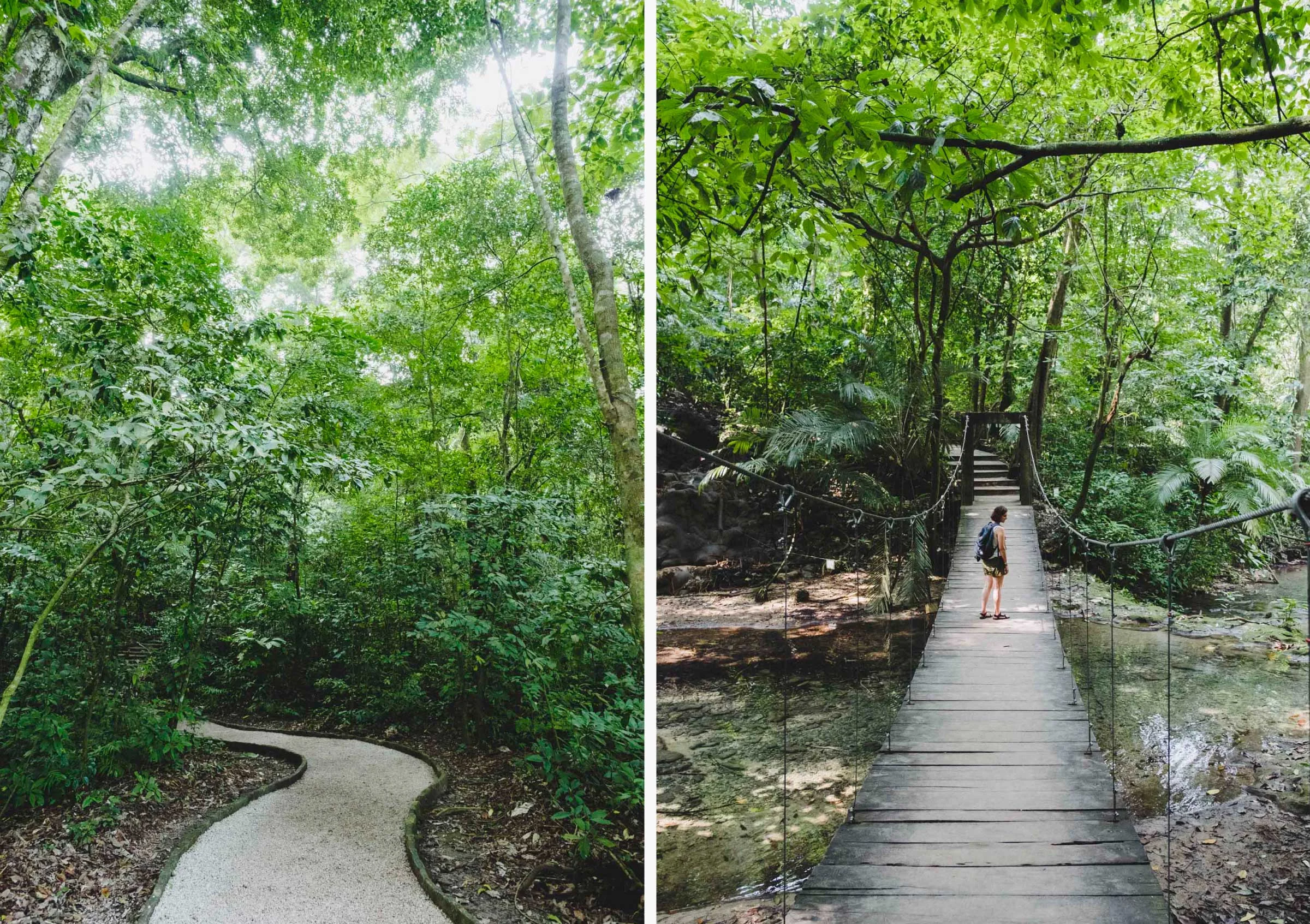 Chiapas: Exploring the Beauty of Southern Mexico