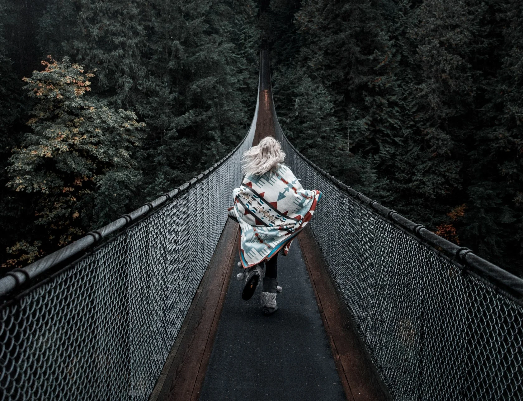 Capilano-Suspension-copy-2.jpg