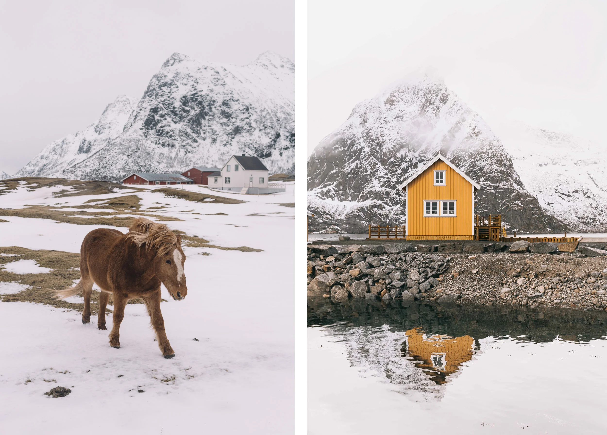 Lofoten: Discover Norway’s Untamed Islands