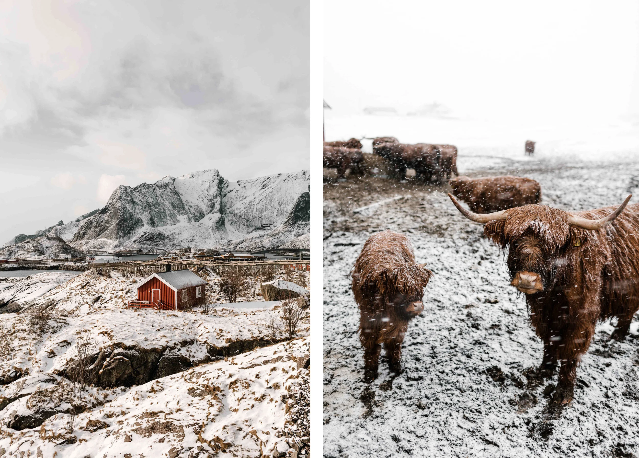 lofoten3.jpg
