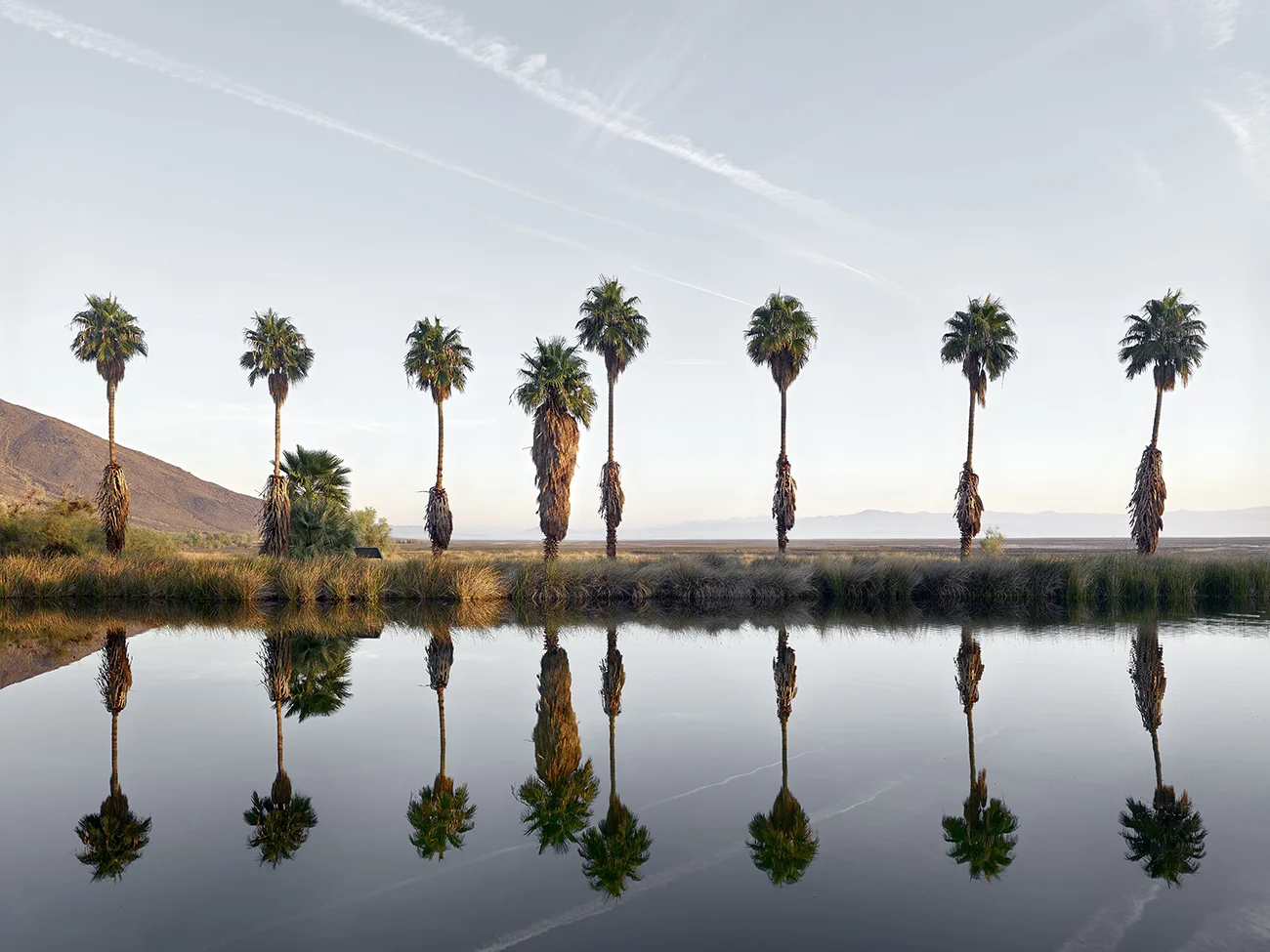 Zzyzx Springs, California.jpg