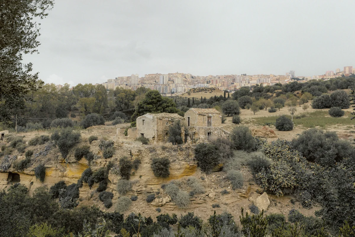 giuliademarchi_mediterranea_6.jpg