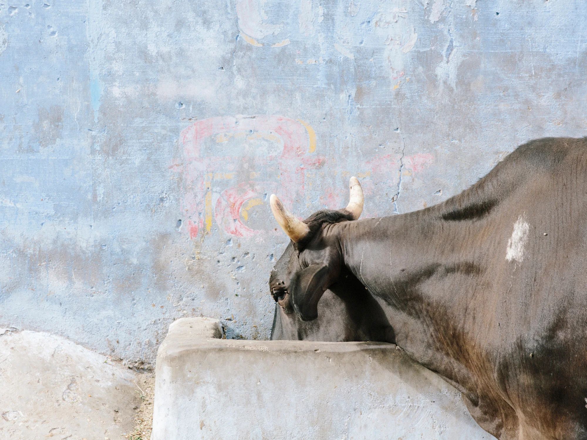 India_YuriAndries_09.jpg