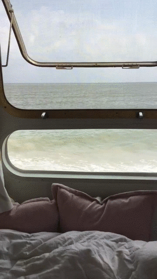 IMG_7484.gif