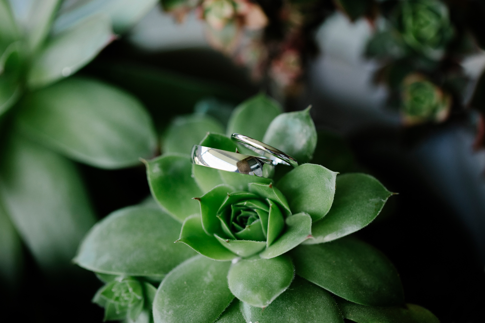 KirstenCunninghamPhotographyWeddingMillthorpe-3.jpg