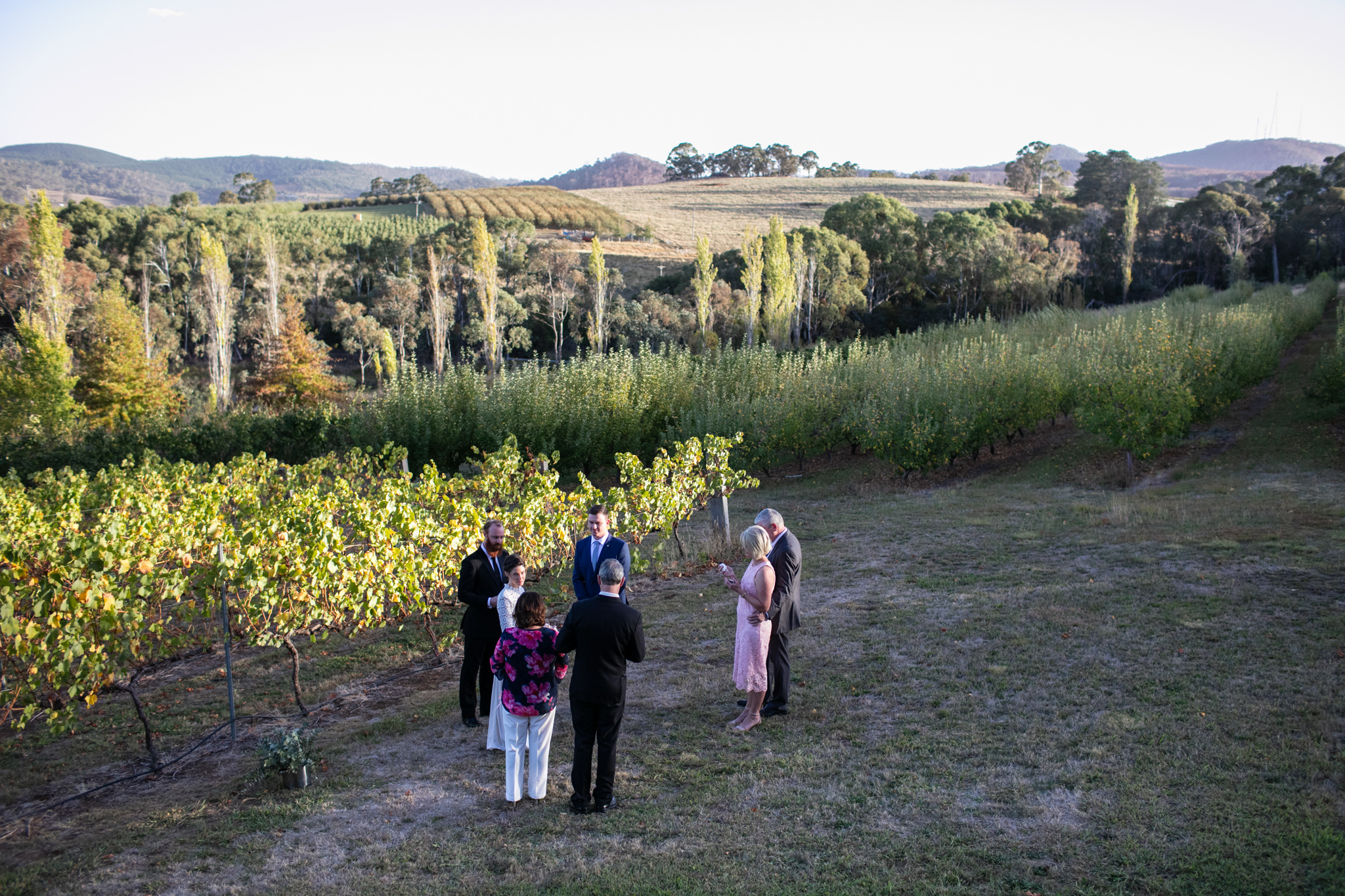 Wedding Borrodell Vineyard