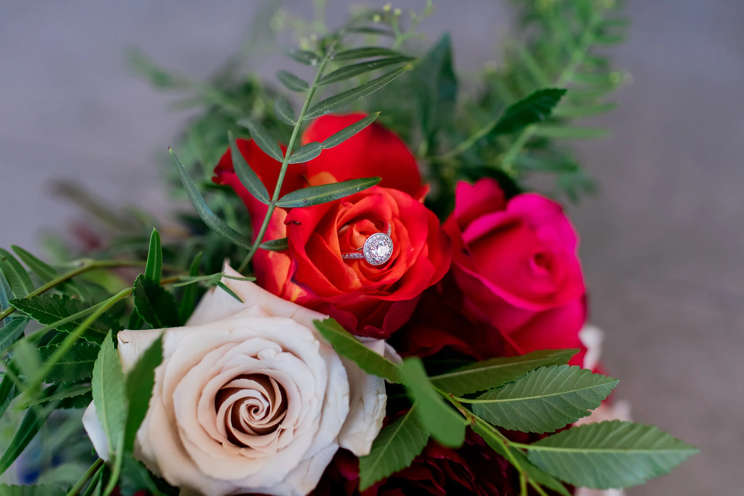 JessAleksWeddingWEB-87.jpg