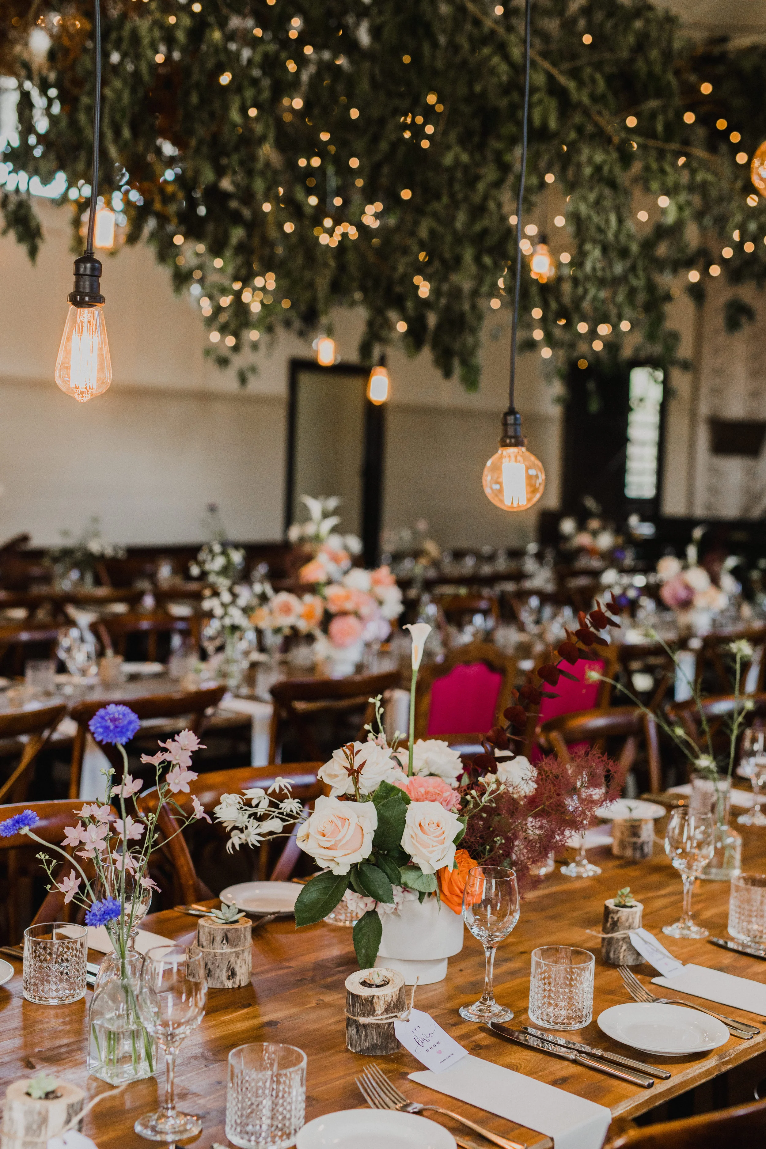 Alex+Tom-10.11.18-6.jpg