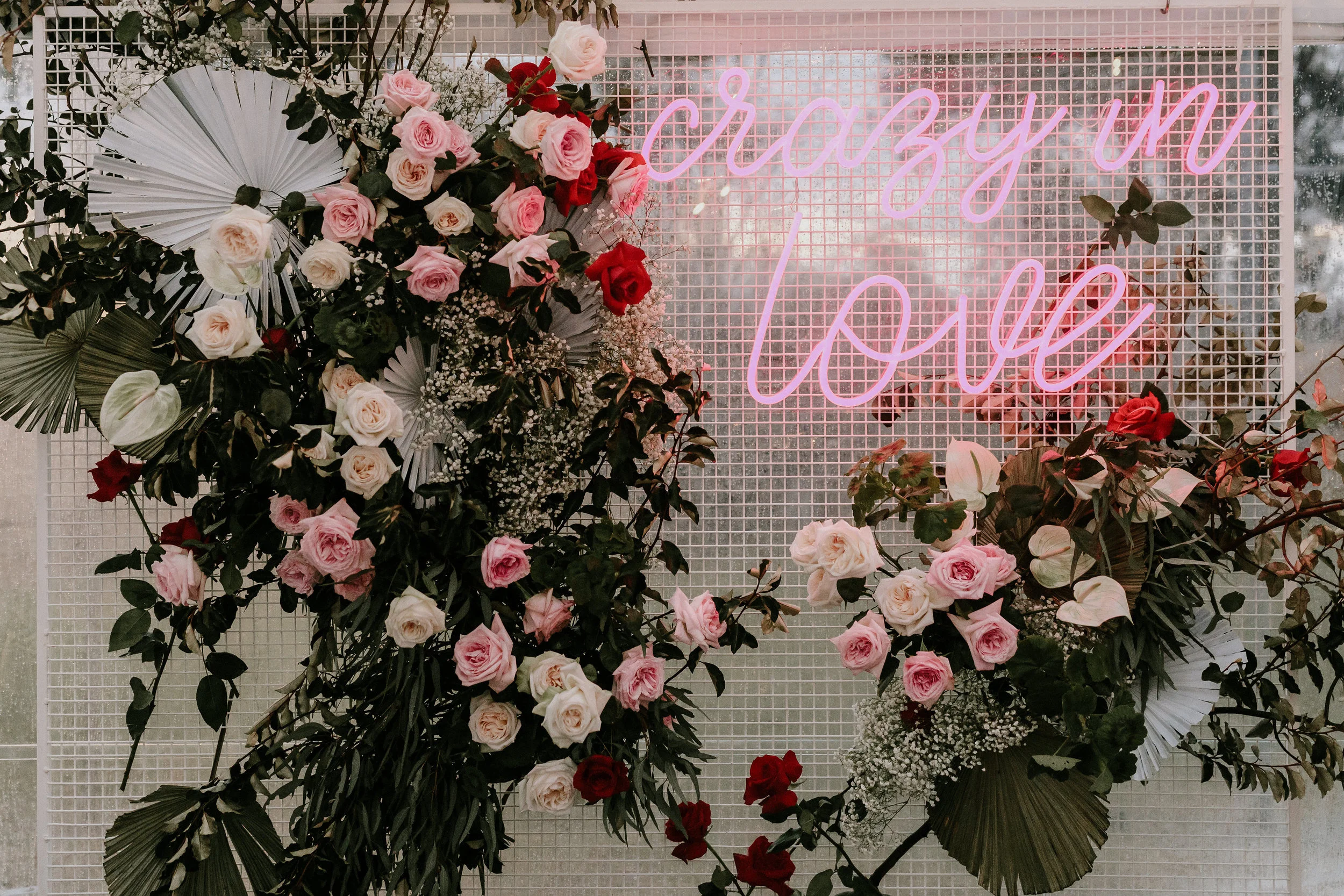 KatieandGus-701.jpg