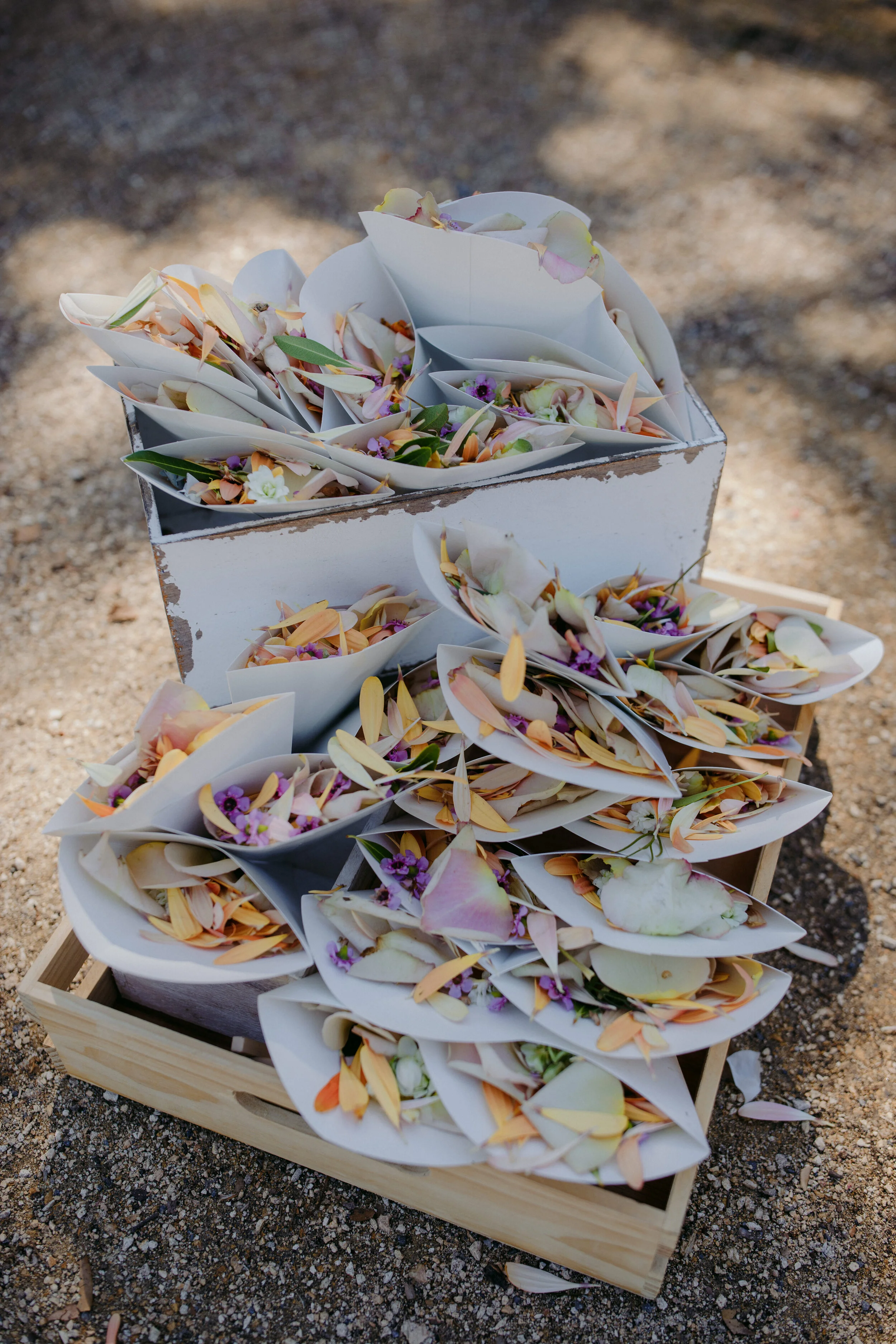 victoria_chad_wedding-26.jpg
