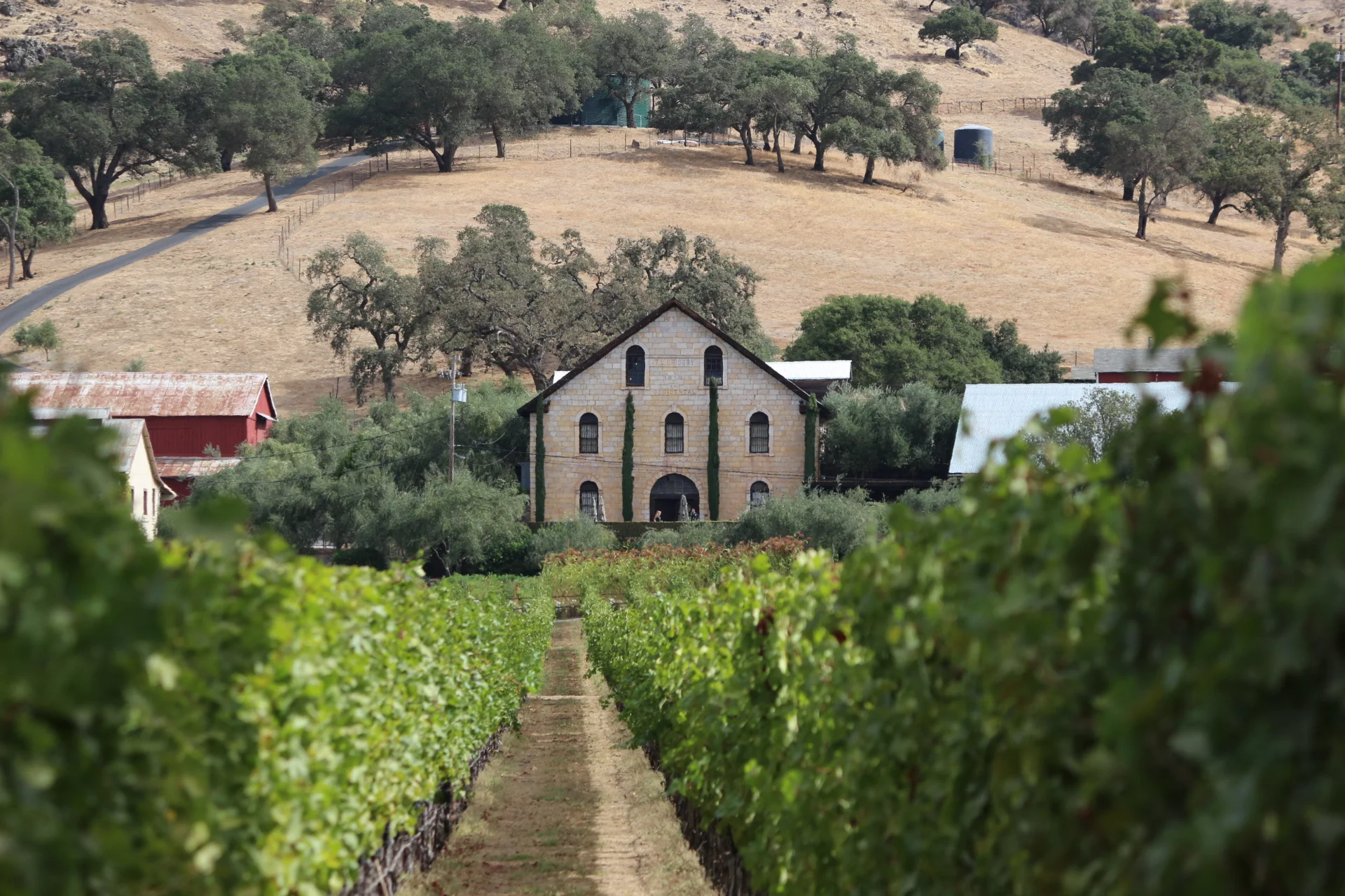 Wine Wednesday Feature - A Trip To Regusci Winery
