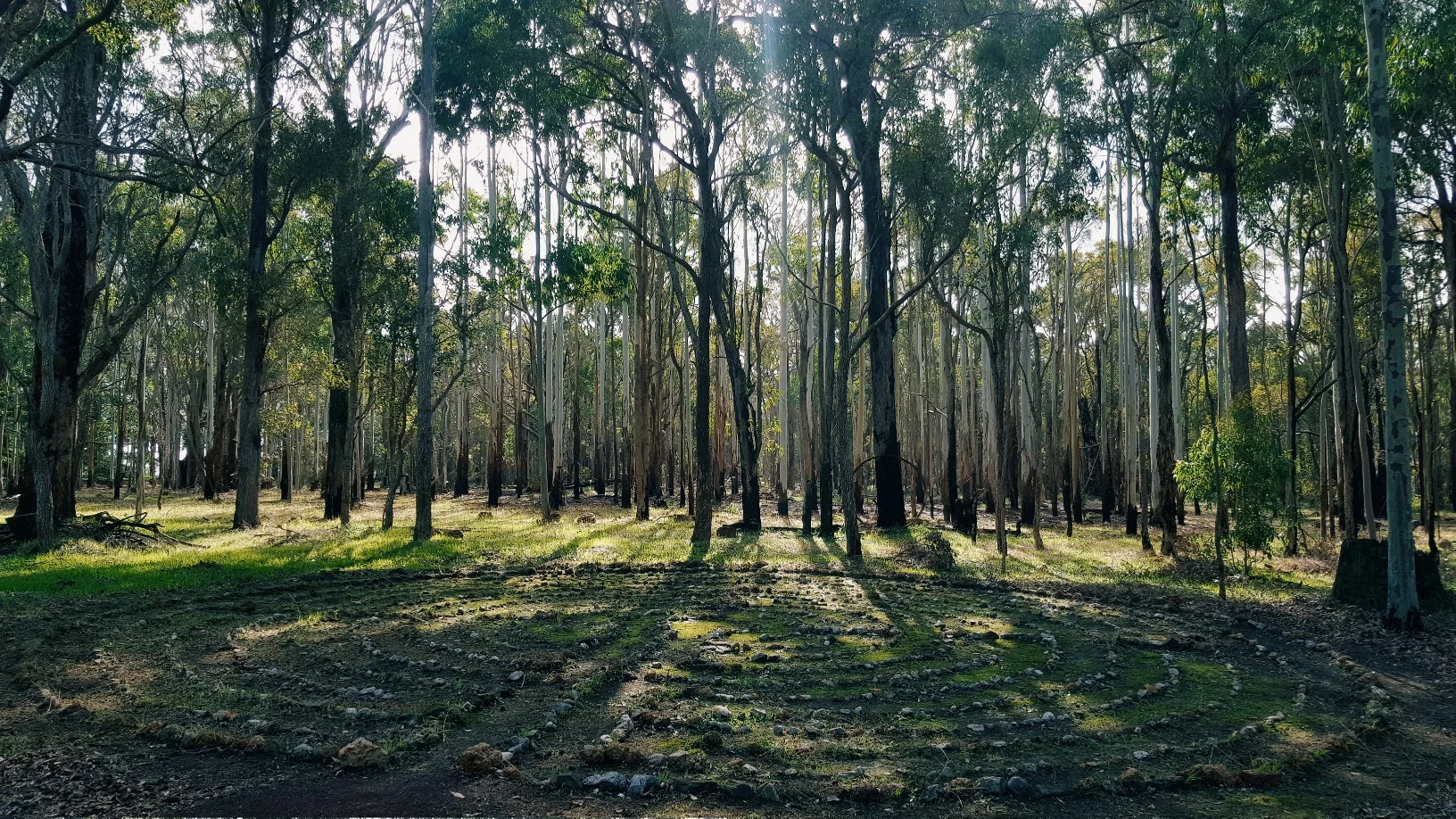 labyrinth.jpg