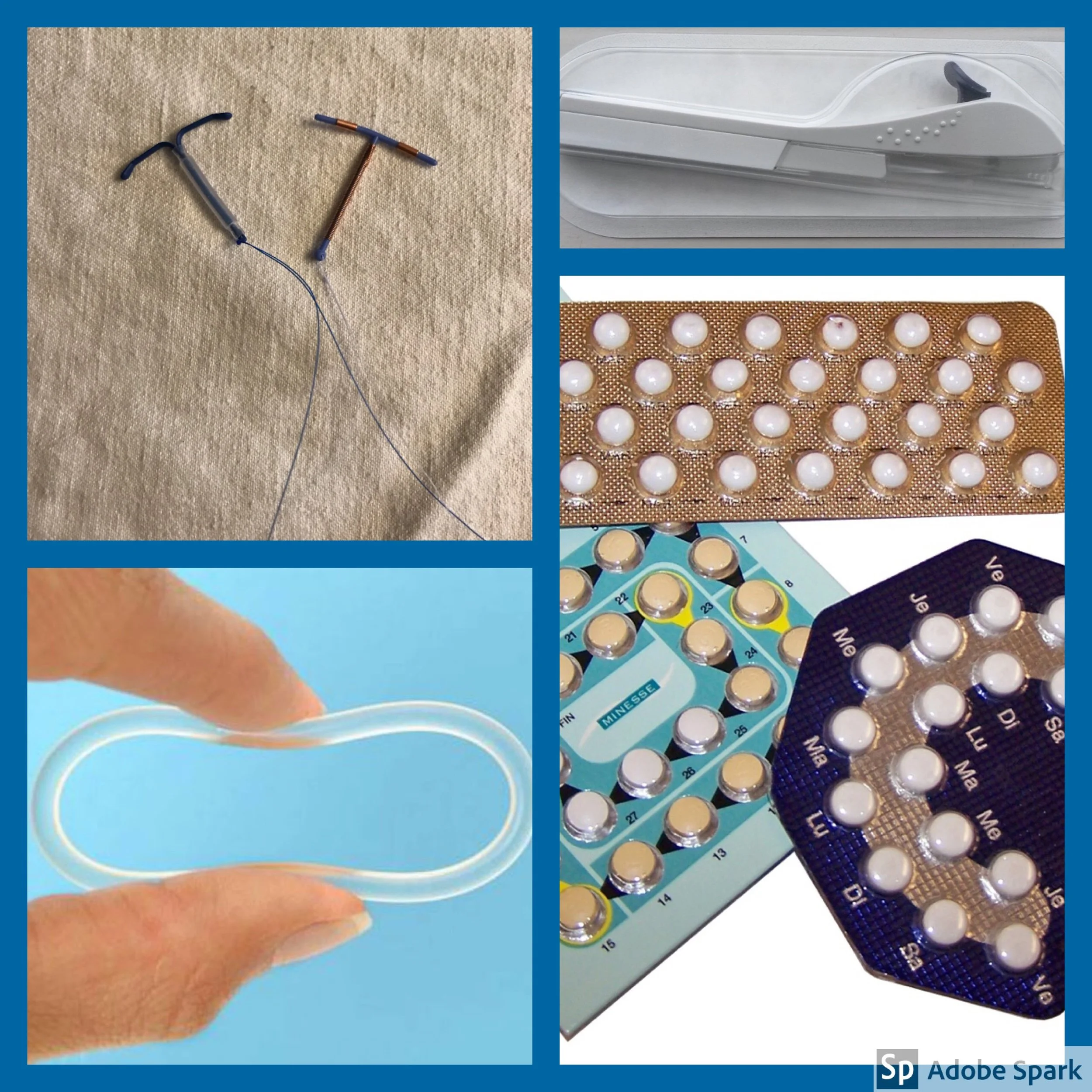 contraception color.jpg